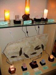 Decorative Items & Fossils